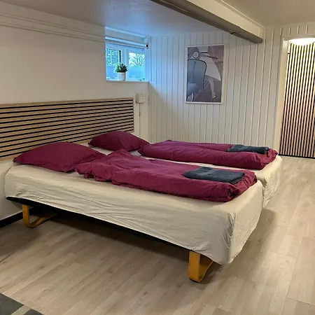 Appartement H. C. Lumbyes Vej - Kaelderlejlighed Odense