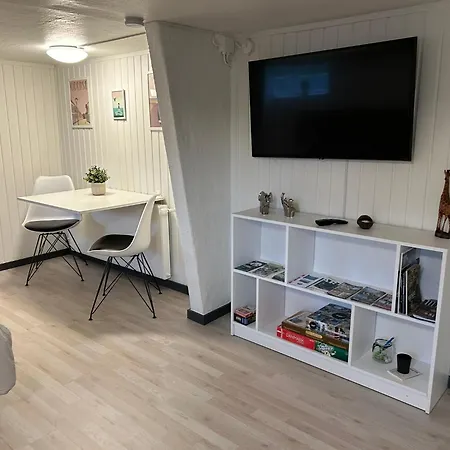 H. C. Lumbyes Vej - Kaelderlejlighed Apartment Odense