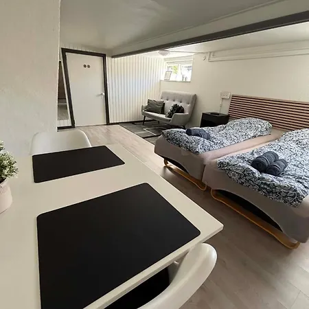 Appartement H. C. Lumbyes Vej - Kaelderlejlighed Odense