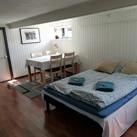 H. C. Lumbyes Vej - Kaelderlejlighed Odense