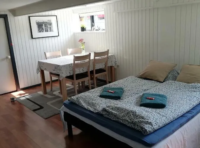 H. C. Lumbyes Vej - Kaelderlejlighed أودنسه